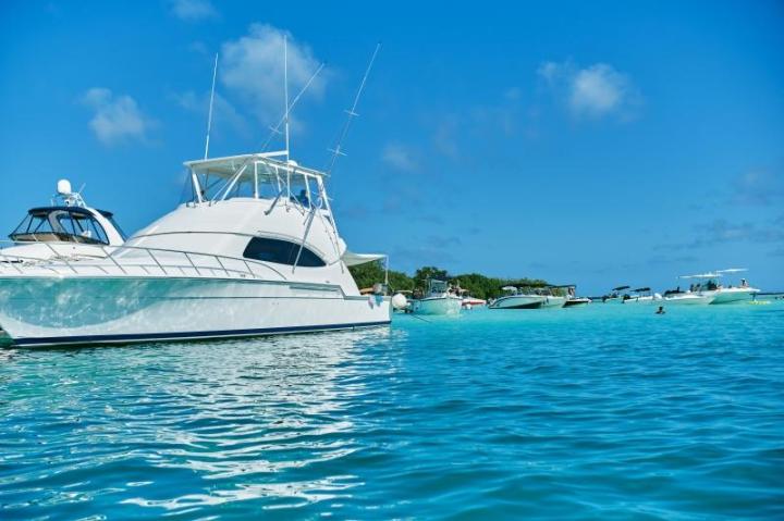 Vente de bateaux neufs, Marines de Cogolin